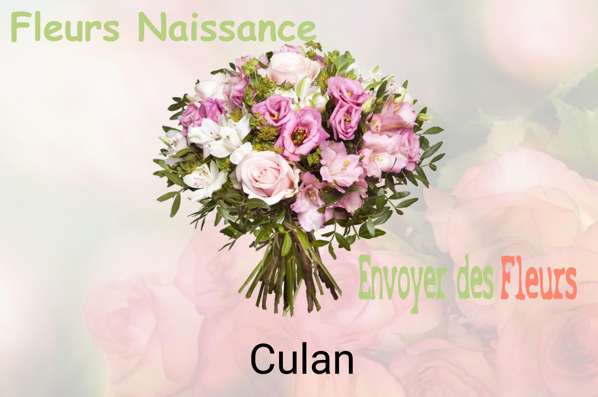 Bouquet de fleurs de naissance livré à Culan